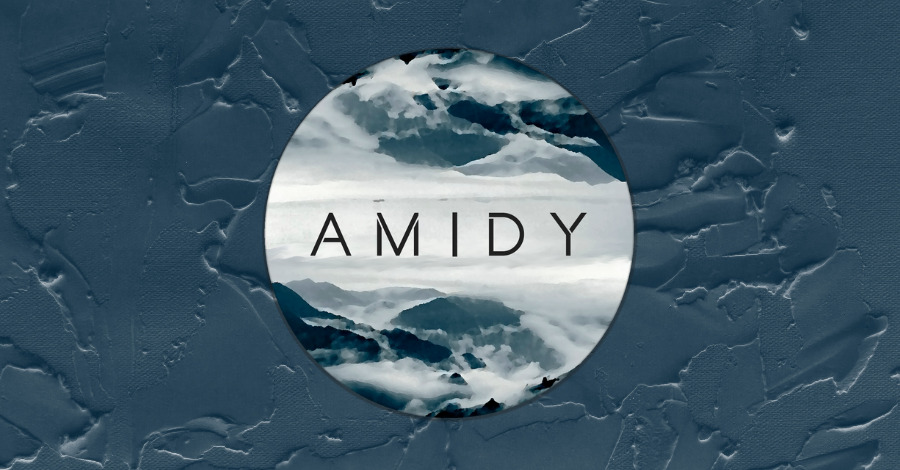 Amidy logo